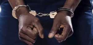 DIC : le film de l’arrestation de «l’artiste cambrioleur»