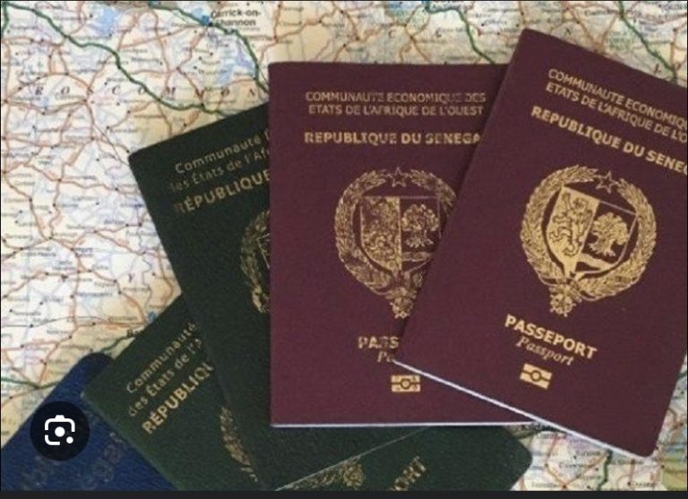 Passeports diplomatiques : vers la suspension des 130 titres de voyage