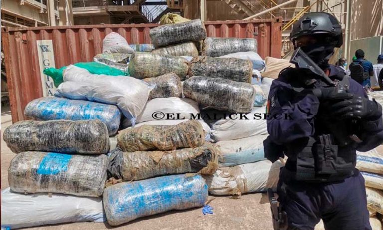 Incinération de drogue : Une grande quantité de drogue d'une contre-valeur de 700 milliards de Francs Cfa, réduite en cendres