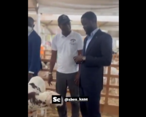 Insolite, Tabaski : Diomaye Faye marchandant 2 béliers pour la fête (vidéo)