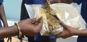 27 kg de chanvre indien saisis par la brigade de Kafountine