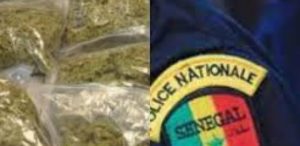 Thiaroye: Un dealer tombe avec 53 cornets de Kush