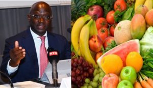Programme d’autosuffisance alimentaire : la grande annonce du ministre de l’agriculture…
