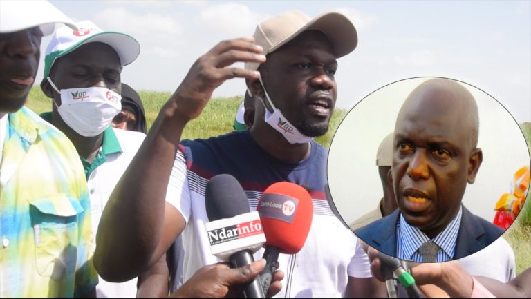 Sonko à Saint-Louis : le message de Mansour Faye