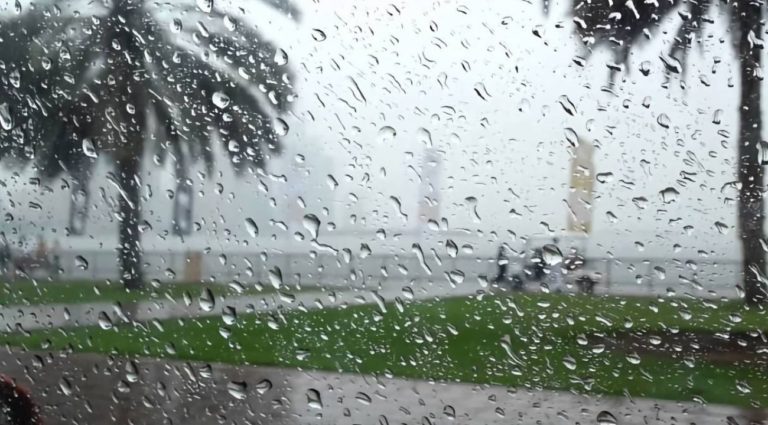 Alerte météo : des orages et pluies sont attendus sur les régions Sud-ouest cet après-midi