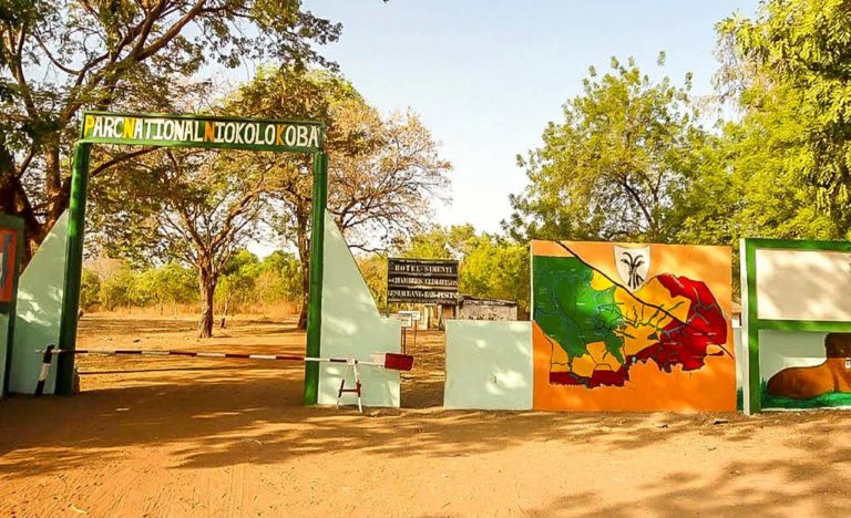 Le Parc National Du Niocolo Koba réhabilité, après 17 années…