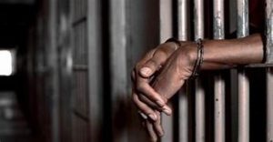 Accusé par erreur de vol par son patron : Le docker Laye Sakho lui arrache trois dents et se livre à la gendarmerie
