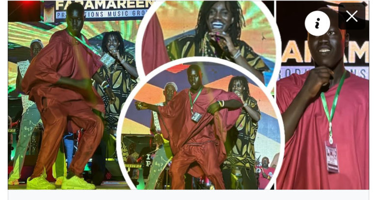 (Vidéo)- Wally 2 «sourd muet» débarque au concert de Wally Seck et explose la scène