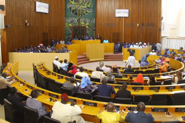 Assemblée nationale : La deuxième session extraordinaire de l'année 2024 est ouverte !