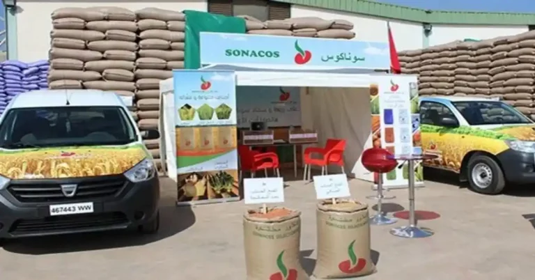 La SONACOS annonce 7 000 emplois pour la prochaine campagne de graines d’arachide