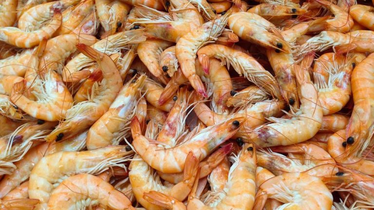 Des gambas et des crevettes contaminées par une bactérie « mangeuse de chair » rappelées dans toute la France