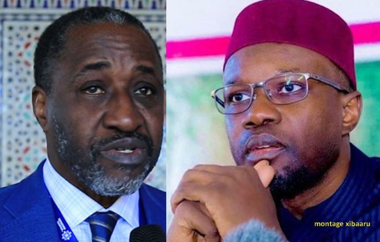 Adama Gaye : « Ousmane Sonko agit parfois comme un gamin »