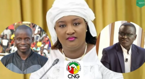 Lamb : Entre Bira Sène et Malick Ngom, le nouveau président du CNG connu en fin de semaine ?