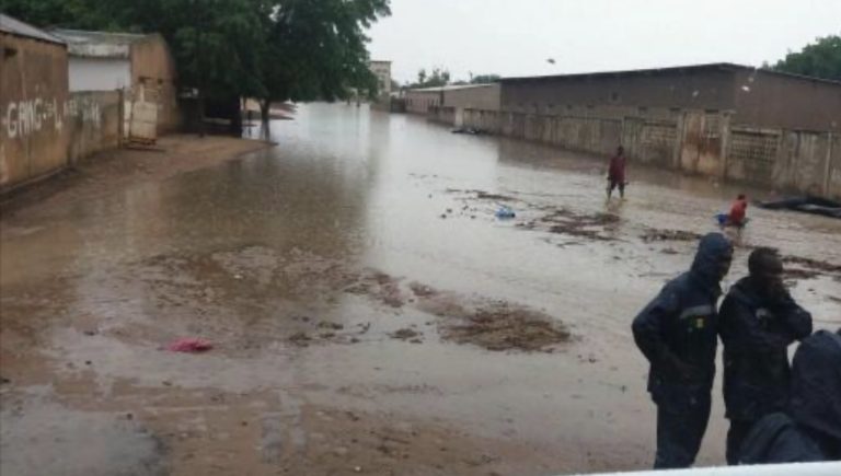 Débordement du fleuve Sénégal : écoles envahies à Matam et Bakel