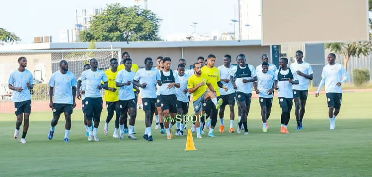 Equipe Nationale : Reprise en douceur pour des Lions (presque) au complet