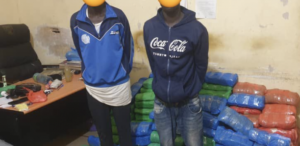 Kaolack: A.Ba et O.Sow arrêtés par l'OCRTIS avec 137 kg de yamba