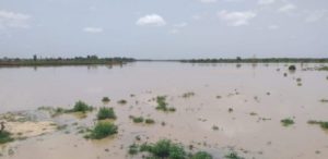 Montée des eaux du fleuve: Le village de Debi Tiguet vit un véritable calvaire
