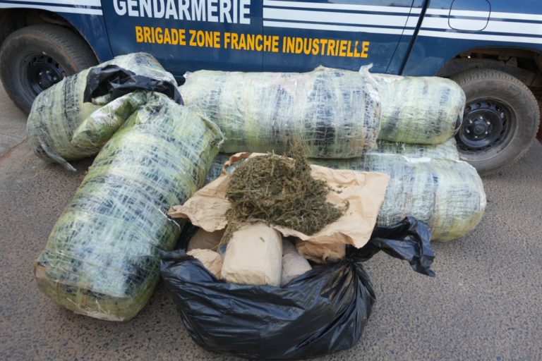 Diamniadio : Importante saisie de chanvre indien par la brigade de Zone Franche Industrielle (Photos)
