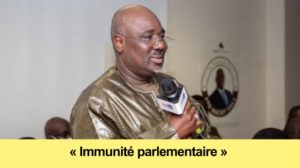 Ratification de la commission ad hoc: Farba Ngom absent à l’Assemblée nationale