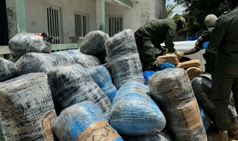 Trafic de drogue : L'OCRITS neutralise une bande armée et saisit 277,5 kg de chanvre indien à Dakar