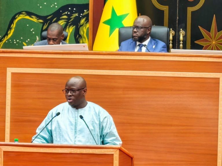 Le ministre Cheikh Diba à l'Assemblée nationale : "Ce n'est pas le FMI qui nous dicte nos actions, c'est nous qui (...) décidons des mesures à prendre"