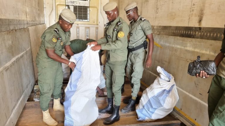 Lutte contre l’insécurité : 1 238 interpellations, 77 véhicules saisis et 600 g de drogue confisqués à Dakar