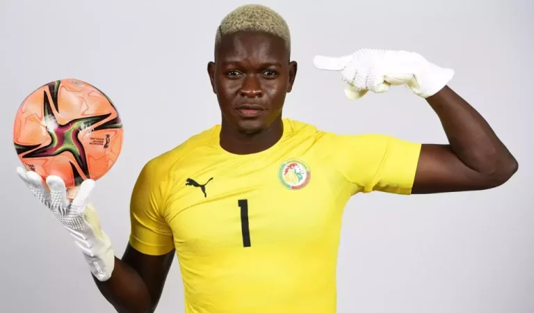 Seul africain sur la liste des ambassadeurs, Al Seyni Ndiaye : « Je suis très content parce que cela met en avant le travail et l’abnégation »