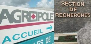 Agropole Nord : «des milliards engloutis, sans résultat», la Section de recherches de Saint-Louis activée