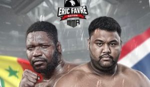 MMA – EFN : Tapha Tine dans la cage ce samedi à Lomé !