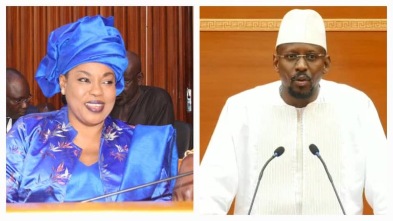 Commissions ad hoc : La composition des membres pour les cas Moustapha Diop et Ndèye Saly Diop Dieng