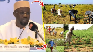 Campagne agricole 2025 : Ousmane Sonko identifie les défis et annonce des mesures fortes