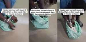 Médina : Deux vendeurs de "dibi" arrêtés avec un chat égorgé, les images défraient la chronique (vidéo)
