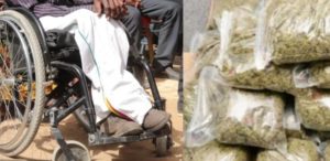Trafic de drogue : le dealer utilisait son handicap comme couverture et le magal de son marabout comme alibi