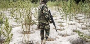 « Il se porte très bien » : des nouvelles du soldat pris en otage par le MFDC