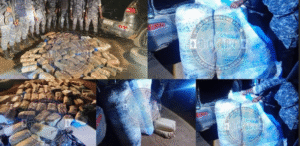 Autoroute à péage : Un véhicule transportant 92 kg de drogue force la barrière puis intercepté par la gendarmerie de Thiès
