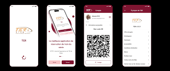 TER Infos : La nouvelle application qui rapproche les usagers du TER