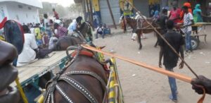 Maleme Niani : Un camion tue un charretier et ses deux ânes sur la RN1