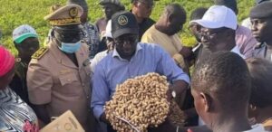 Lancement de la tournée de suivi de la campagne agricole 2025-2026 à Bakel, Matam et Podor