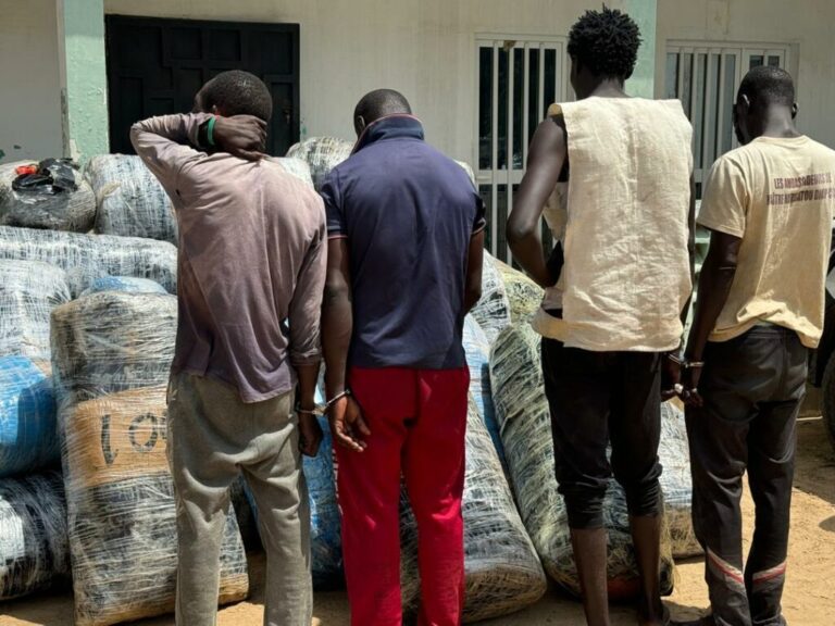 Trafic de drogue démantelé à Yarakh : deux individus interpellés avec 5 kg de chanvre indien