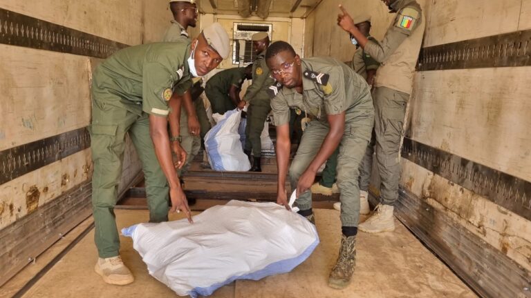 Chute du «baron de Thiadiaye» : le trafic de drogue nourrit le dealer, ses trois épouses et ses… 31 enfants