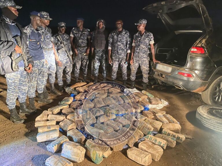 Kafountine : Saisie de 153 kg de chanvre indien par la gendarmerie, le trafiquant s’échappe