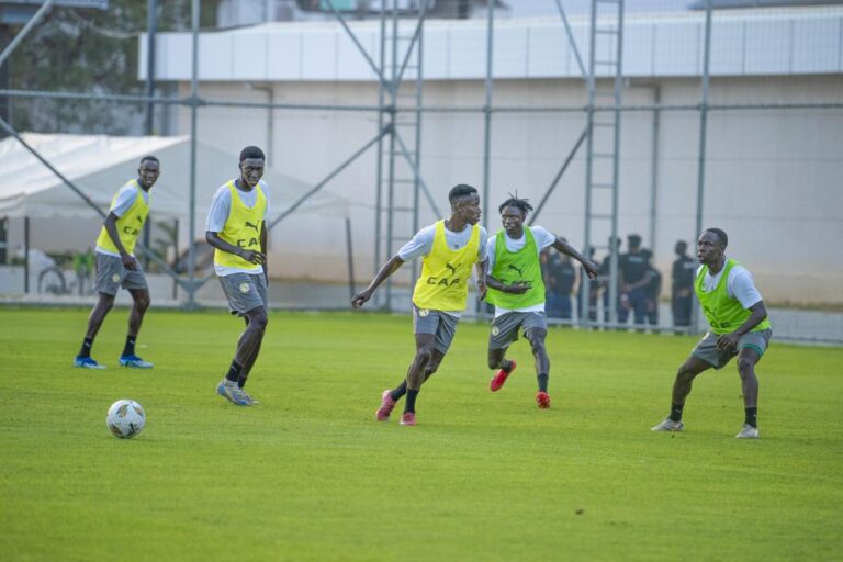 CHAN 2024:13 Lions locaux présents à la séance de ce mercredi