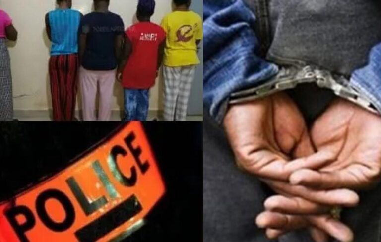 Présumé voleur de porcs lynché à Ziguinchor : 5 jeunes de Lyndiane arrêtés