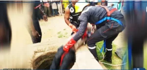 Ziguinchor : un talibé de 13 ans meurt en tombant dans un puits