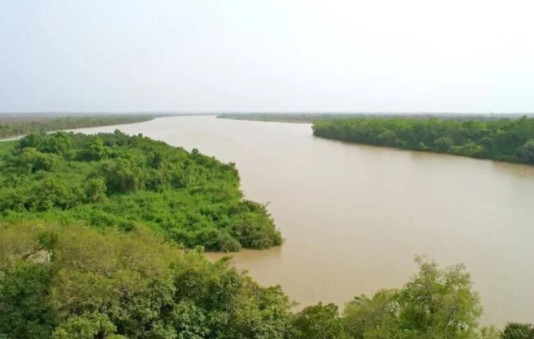 Bassin du fleuve Gambie : hausse du niveau à Kédougou, mais pas de risque d’alerte
