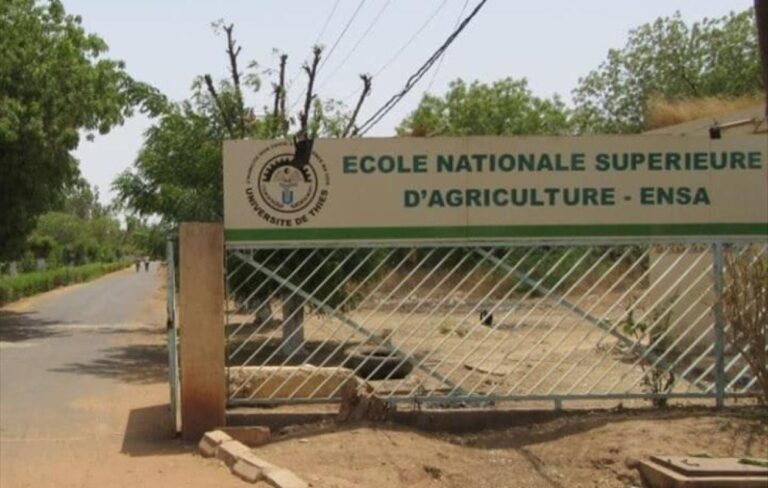 Ensa-Thiès : un 3e mot d'ordre de 72H de grève à compter du jeudi 25 septembre annoncé