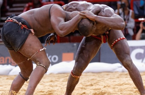 Lutte sénégalaise : le Comité national de gestion maintenu jusqu’à l’installation de la Fédération (Ministère)