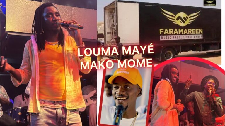 Sénégal - Wally Seck répond à ses détracteurs : « Louma mayé mako mom, c’est mon argent ! » (Vidéo)