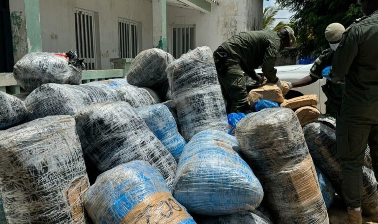 Kaffrine : Coup de filet à Diamagadio, 7 kg de chanvre indien saisis