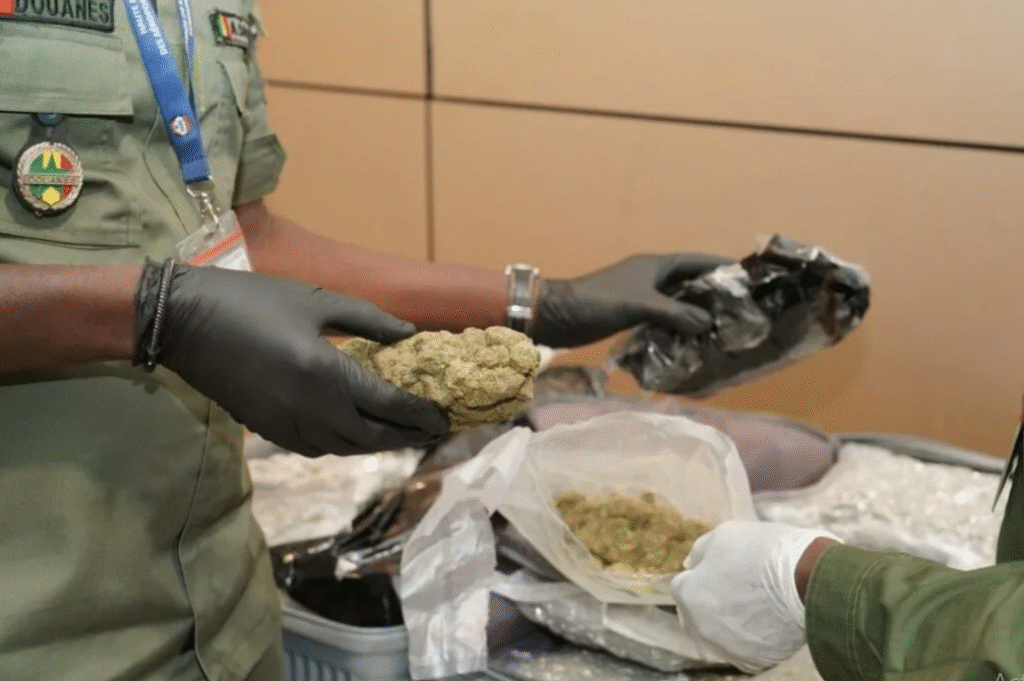 Drogue venue de Paris : Un suspect arrêté à Guédiawaye avec 600 g de haschisch